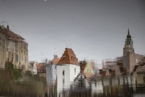 _SFL4219.jpg